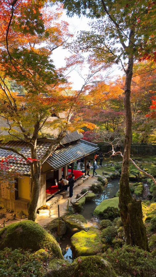 Beautiful Japanese tea house surrounded by vibrant autumn foliage in Japan