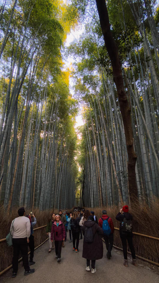 Japan, travel photograph 2