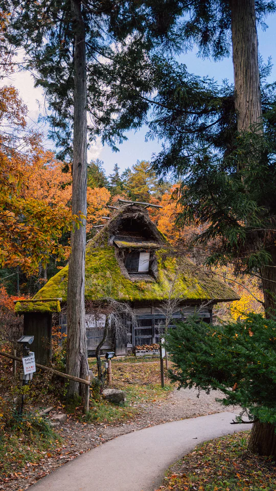Beautiful traditional Japanese cottage surrounded by vibrant autumn foliage, creating a serene and picturesque scene.