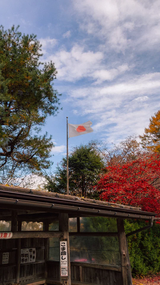 Japanese flag atop a traditional building surrounded by vibrant autumn trees under a clear sky.