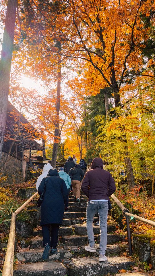 Group of people hiking up stone steps surrounded by vivid autumn foliage in Japan.