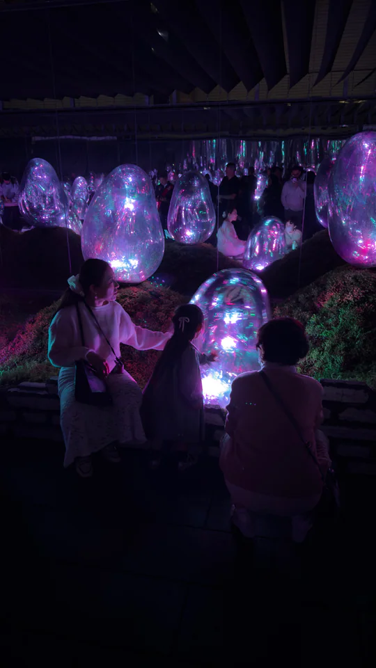 Japan, travel photograph 27
