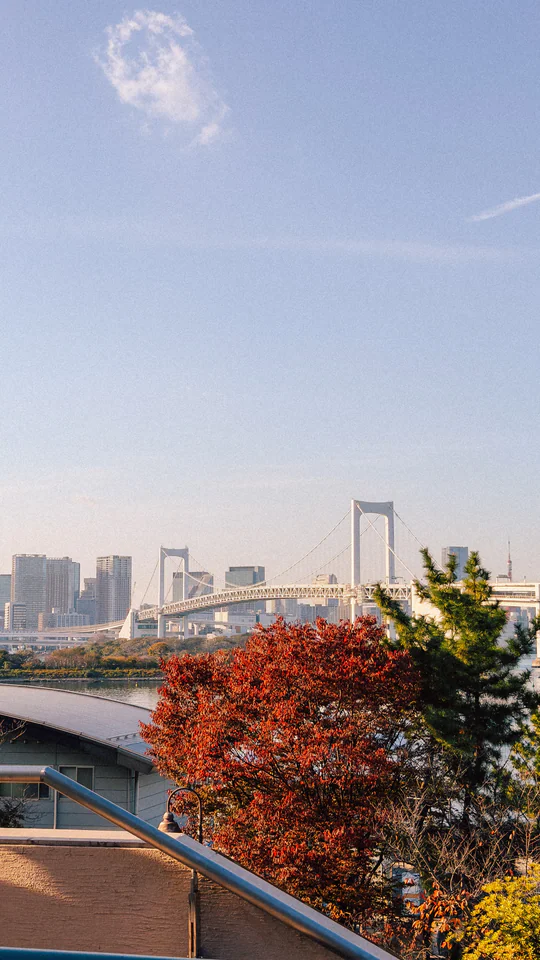 Scenic view of Tokyo's Rainbow Bridge with vibrant autumn foliage in the foreground.