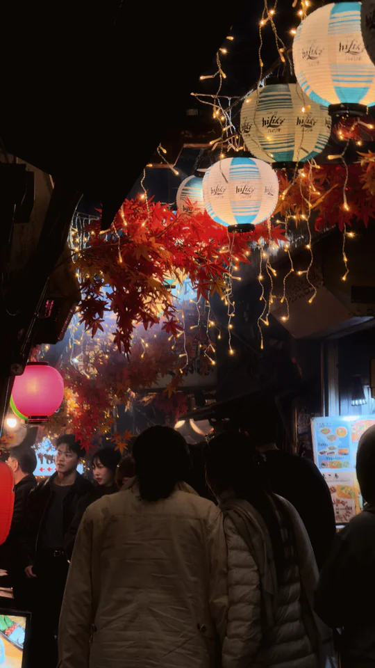 Japan, travel photograph 58
