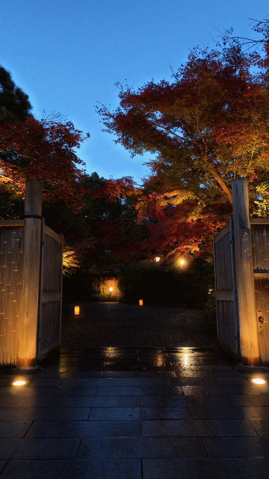 Japan, travel photograph 59