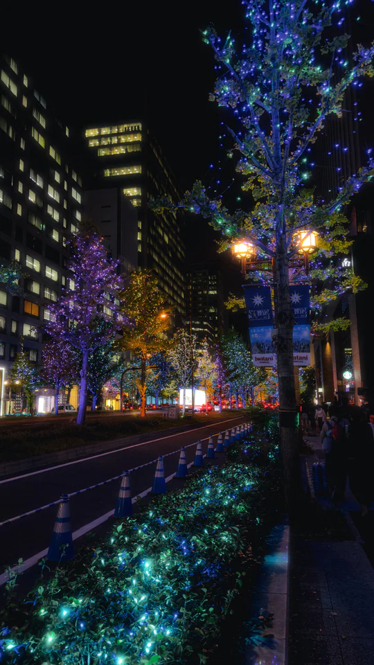 Japan, travel photograph 60