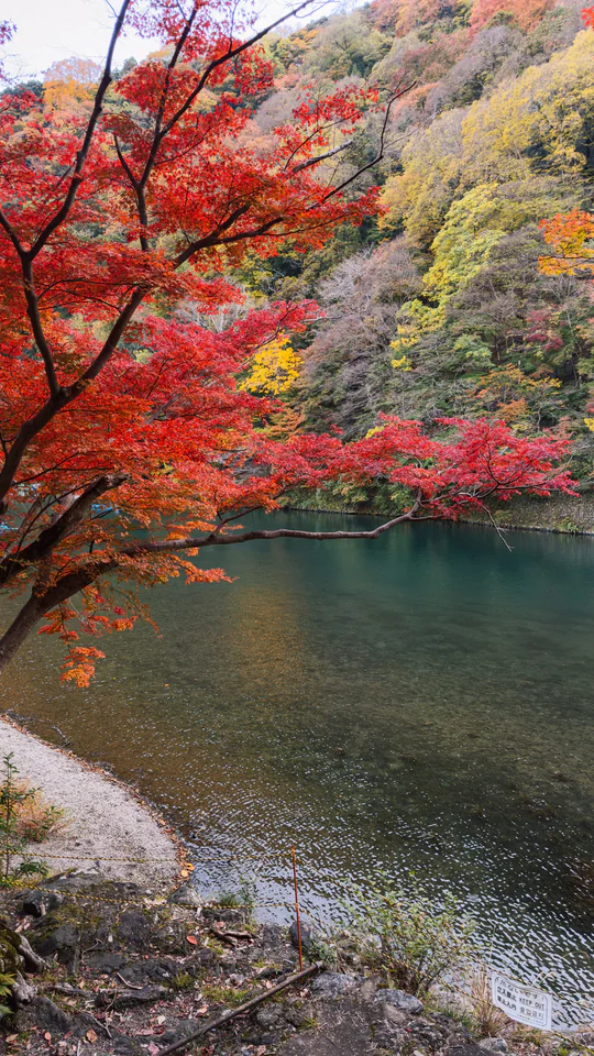 Japan, travel photograph 63