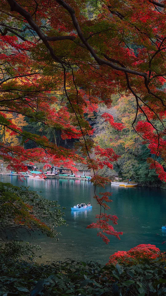 Japan, travel photograph 64