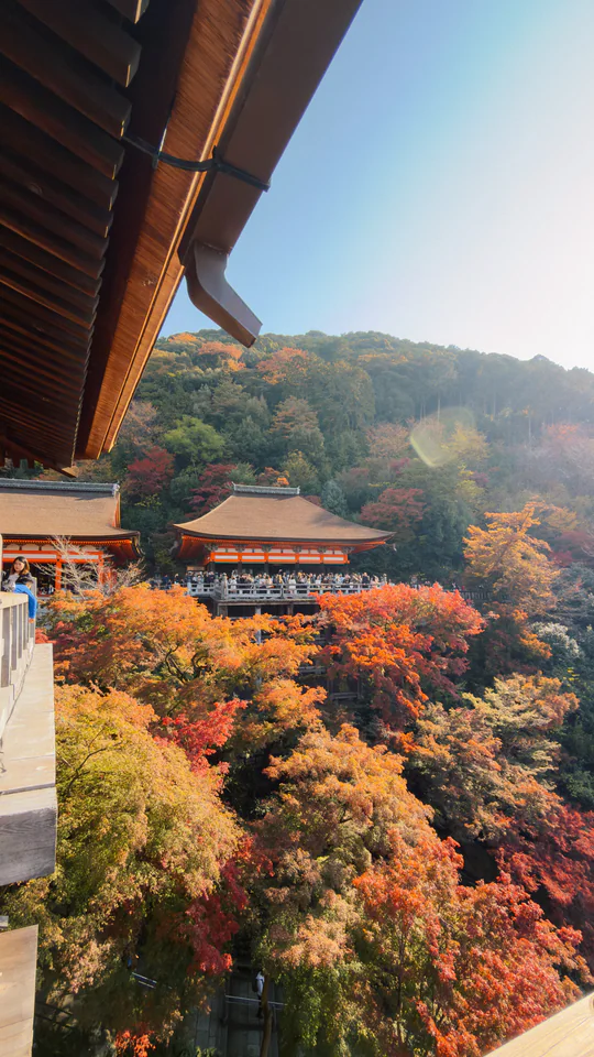 Japan, travel photograph 74