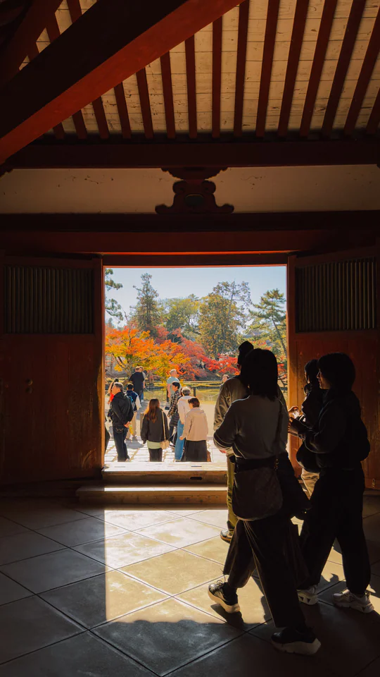 Silhouetted visitors at a Japanese temple entrance with vibrant autumn foliage outside.