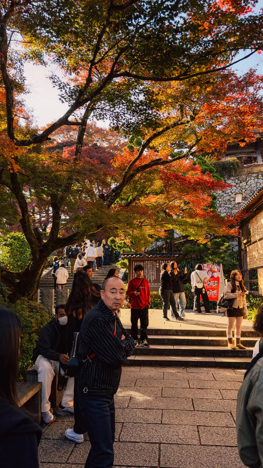 Japan, travel photograph 82