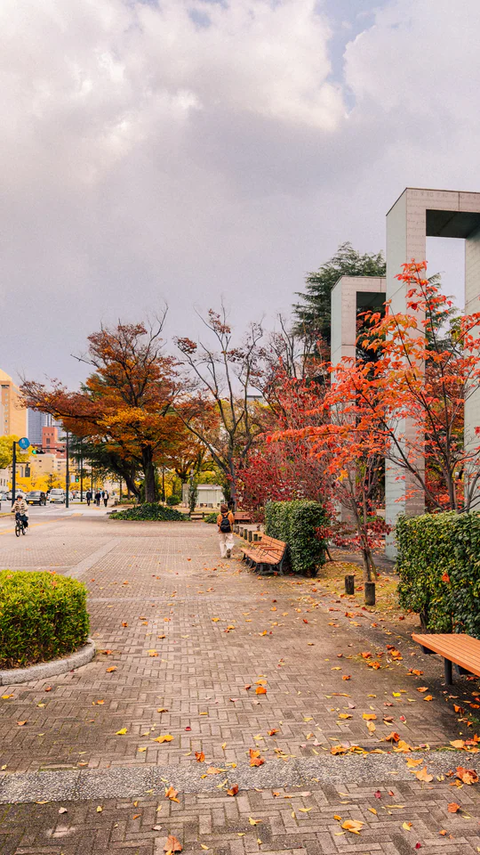 Scenic view of a Japanese park with autumn colors and modern architecture.